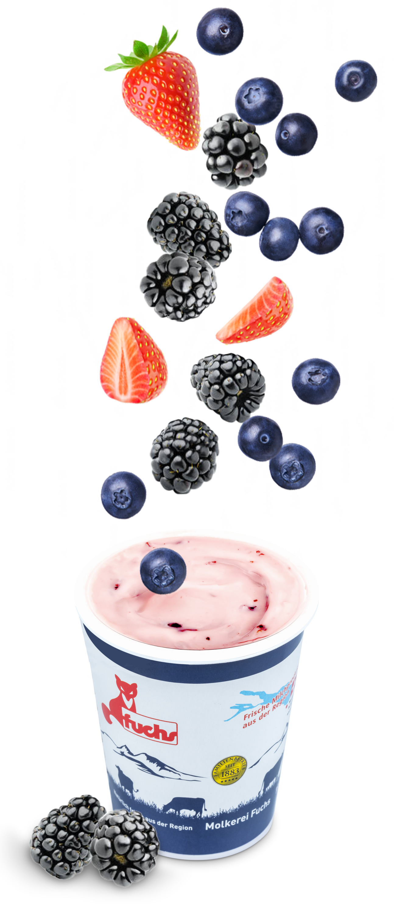 Jogurt mit Früchten